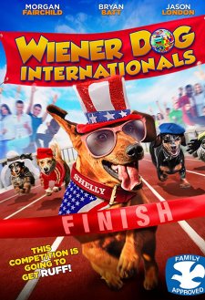 Wiener Dog Internationals
